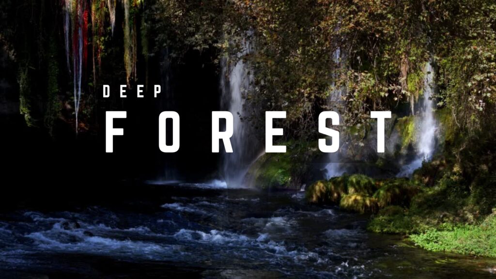 DEEP FOREST 1